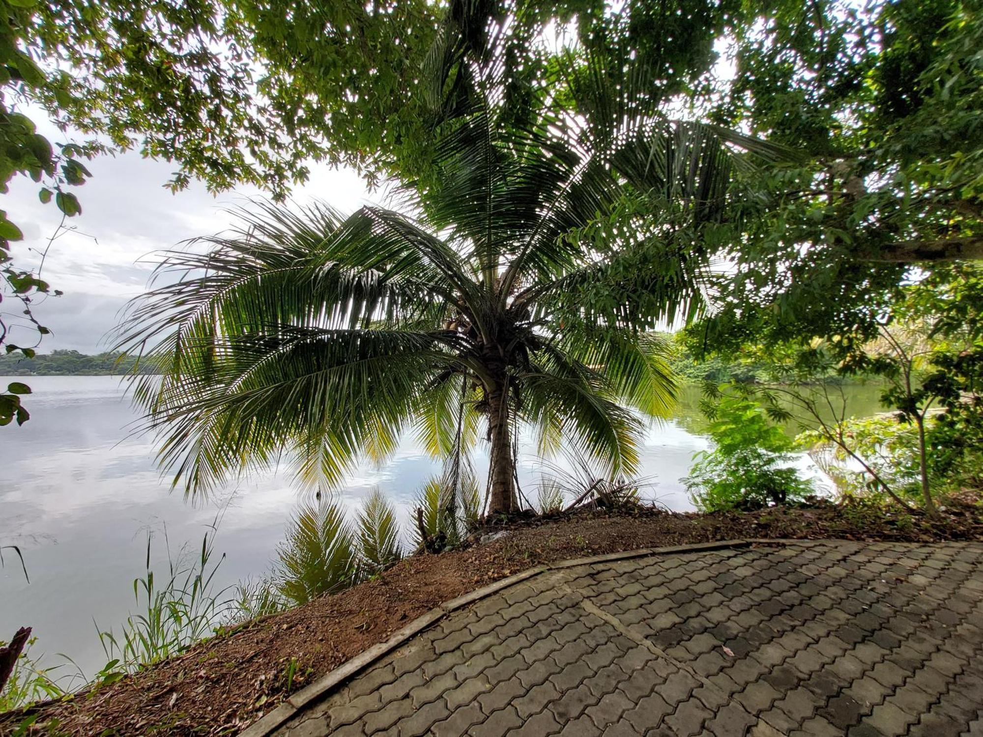 Lake Wave Hotel Anuradhapura Exterior photo